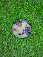 DERRICK HENRY 2025 Panini Mosaic Football