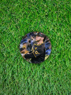JACKSON MERRILL 2025 Topps All-Star Game