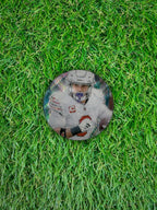 JAMES CONNER 2024 Panini Prizm Football