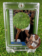 RASHARD LEWIS 2008 Upper Deck MVP