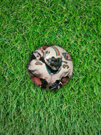 RICKY WILLIAMS 2003 Fleer Platinum