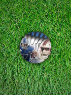 SAM LAPORTA 2024 Panini Illusions