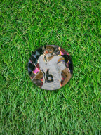 TROY FRANKLIN 2025 Panini Mosaic Football