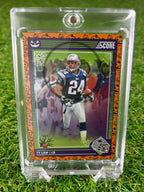TY LAW 2024 Score